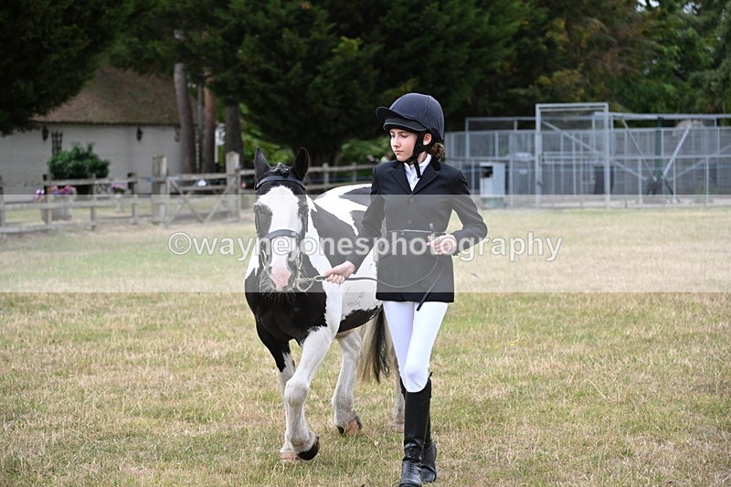 WJ6_4231 - Class 10 Coloured In-hand