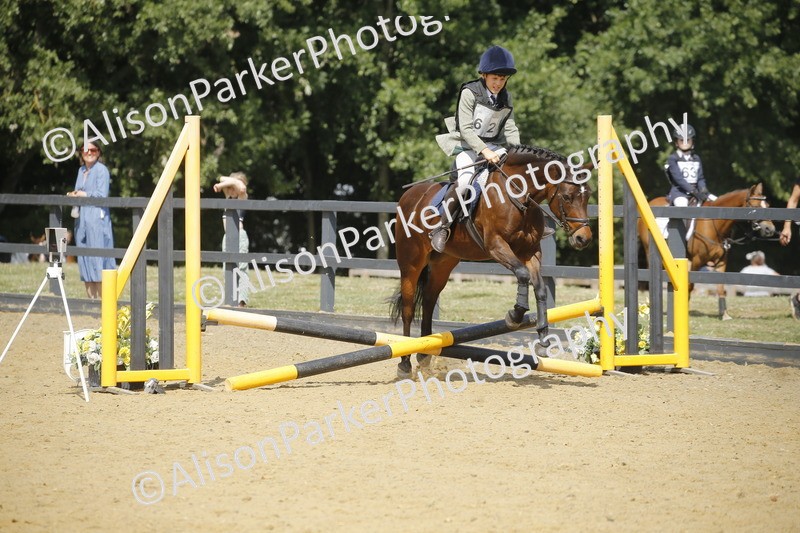 20250622-3854 - 50cm