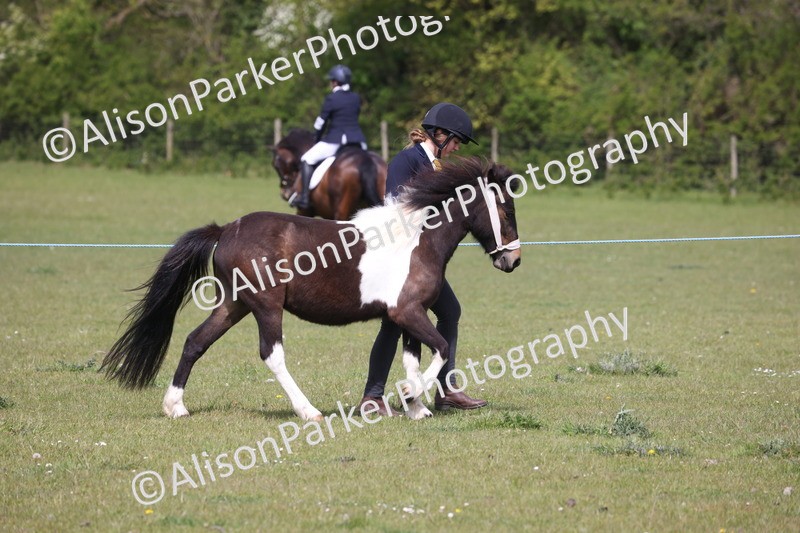 20260426-3266 - Class 27 - Coloured Horses and Ponies