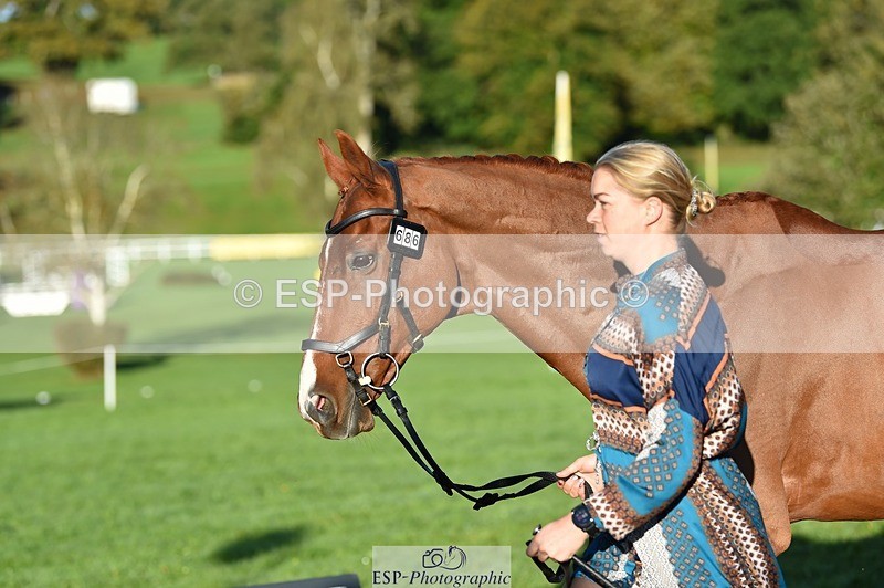 231022-092918-21825 - 686-MOORLAND.MAGIC-Charlotte.Chard-TrotUp+SJ