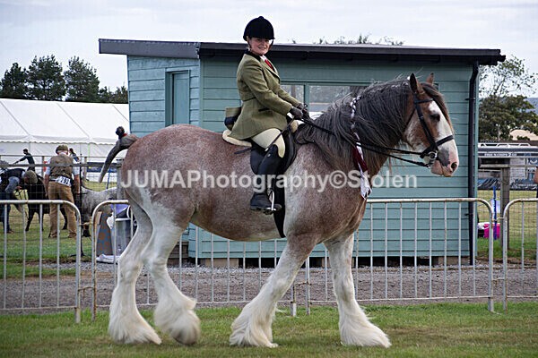 DSC_0219 - Ring 1