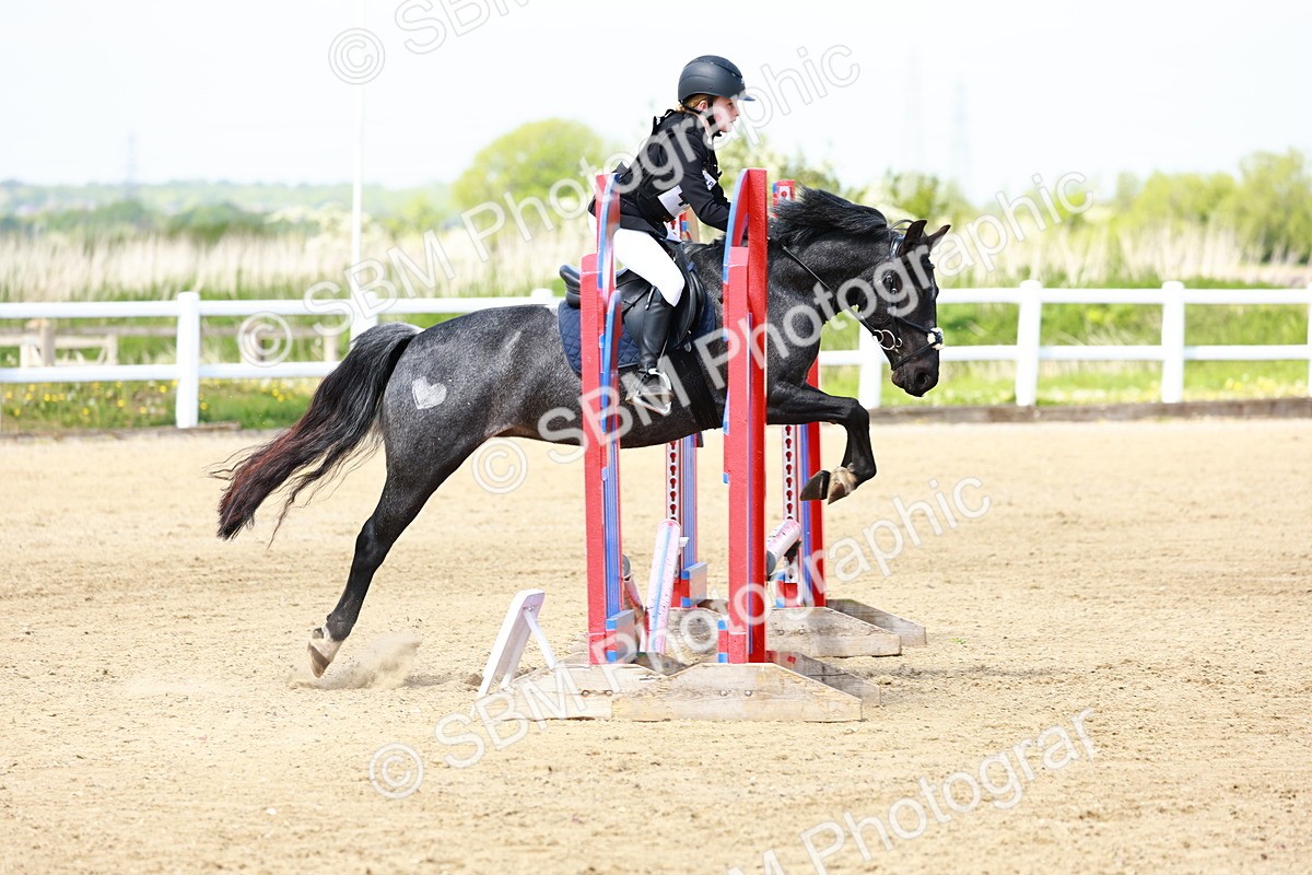 SBM_007825 - Class 3 - 60cm