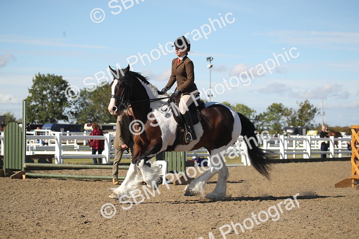 SBM_12737 - Class 504b - Junior Working Veteran - 40cm (20+)