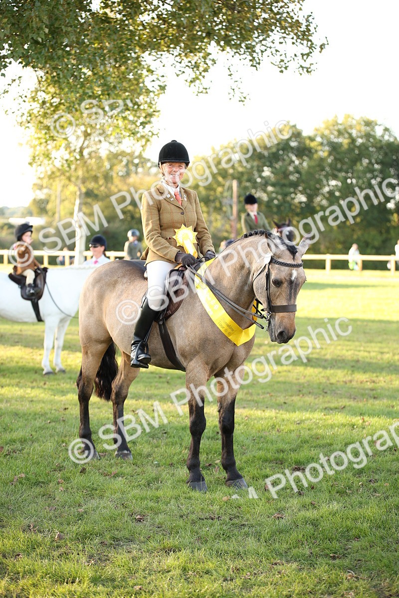 SBM_54484 - S27 - Mature Veteran - Ridden