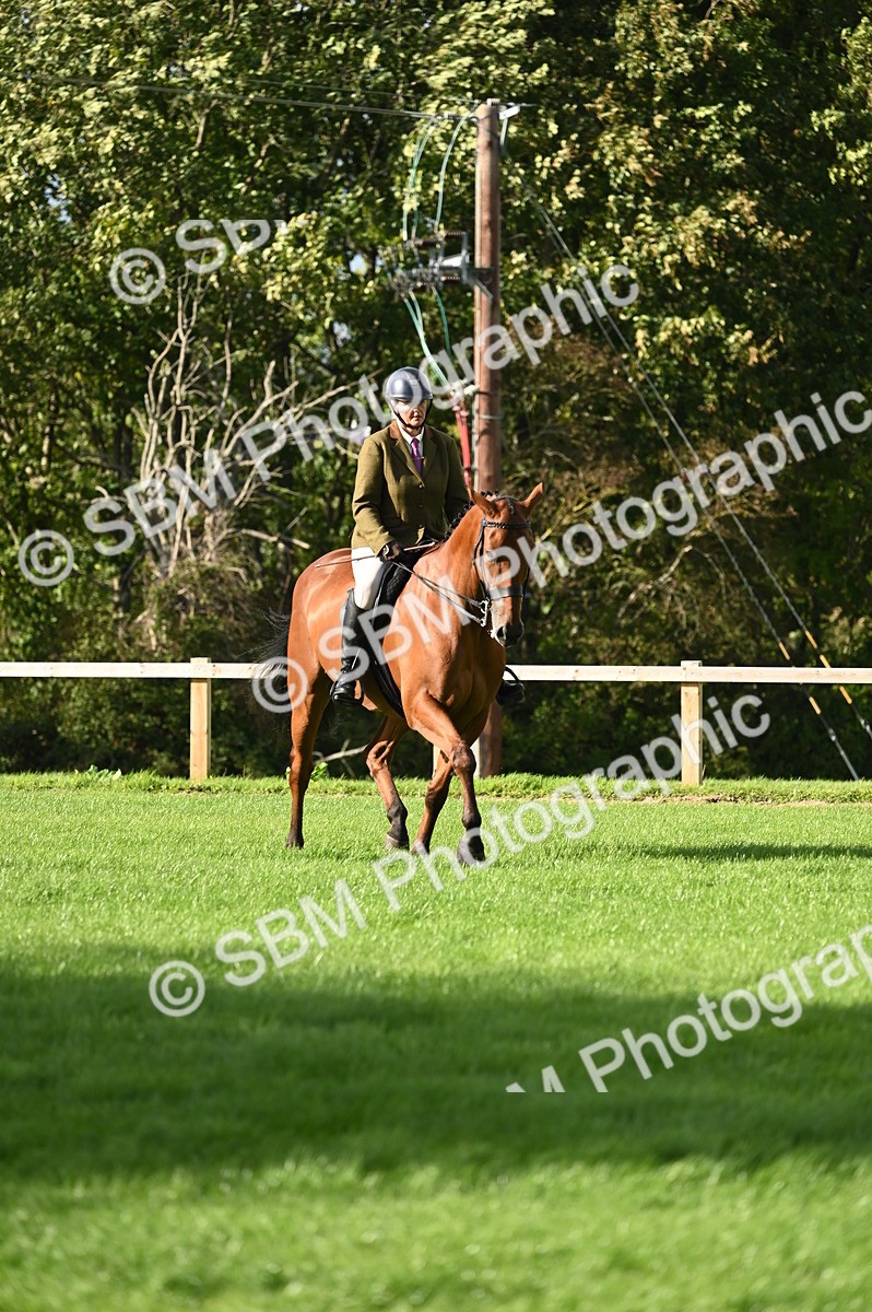 SBM_26417 - S6 - Novice & newcomer Ridden horse