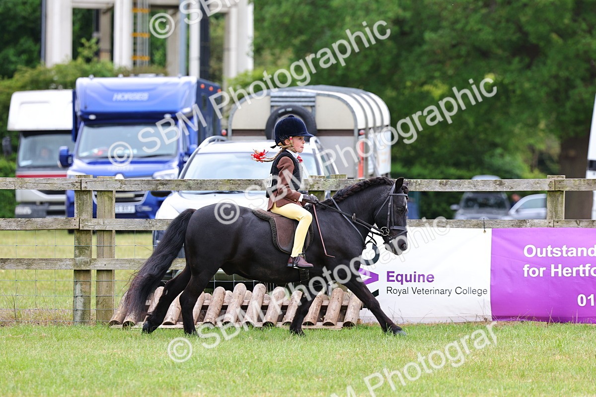 SBM_09699 - Class 44-45 - LIHS BSPS Open Nursery and Cradle Stakes
