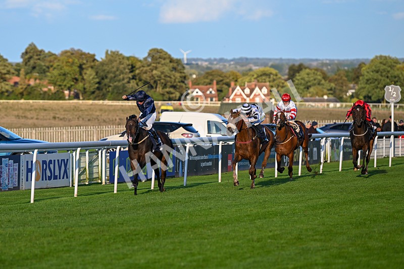 240924-Race 8-Claxton Bay-7121 - Race 8