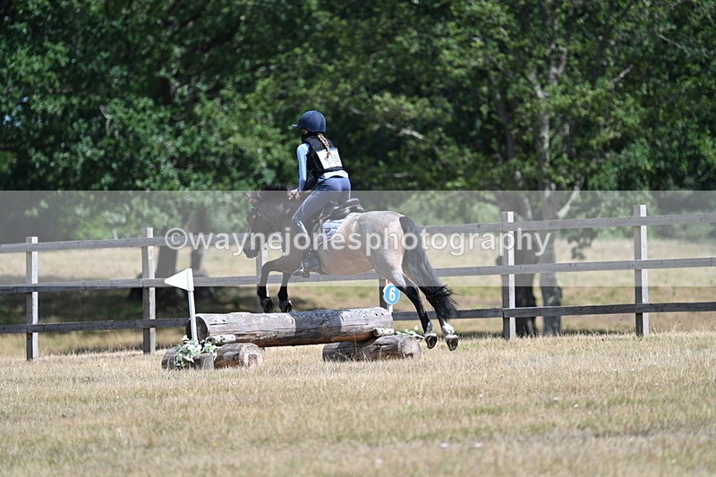 WJ7_0924 - 60cm Time 12:26 to 12:46