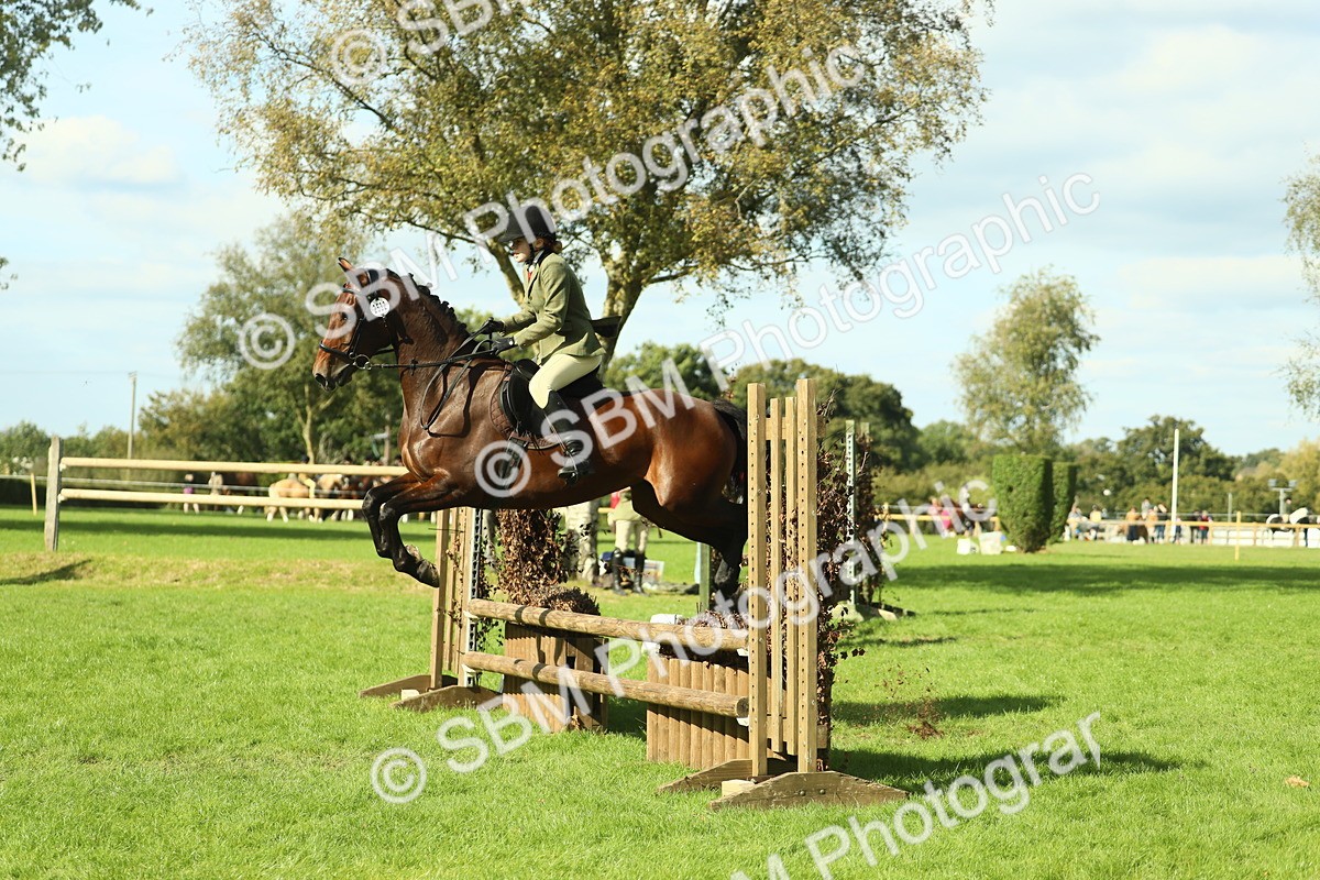 SBM_48092 - S32 - Novice & Newcomers Working Hunter