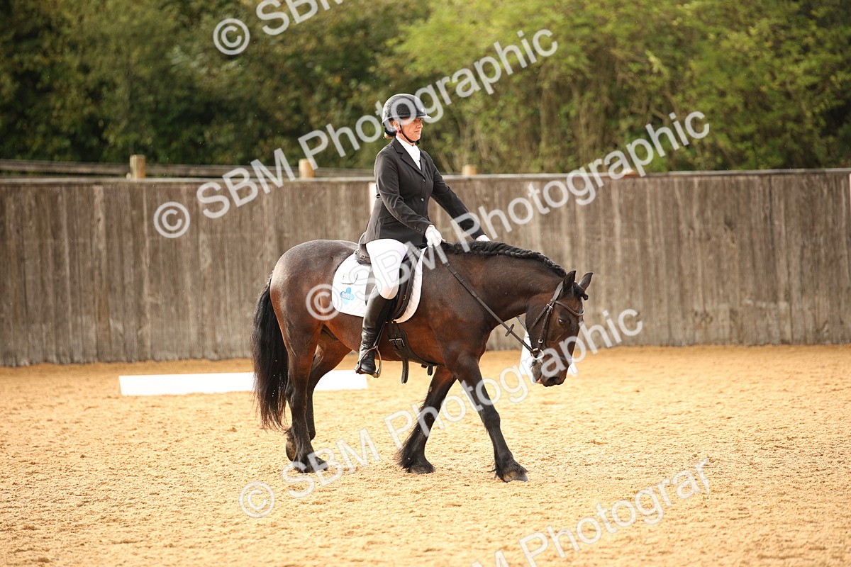SBM_12403 - D3 Small  Tour Championship Intro A