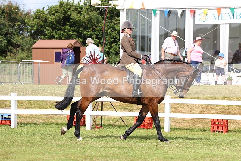 3E7A9310 - Class 4: Rising Star M/H Hunter