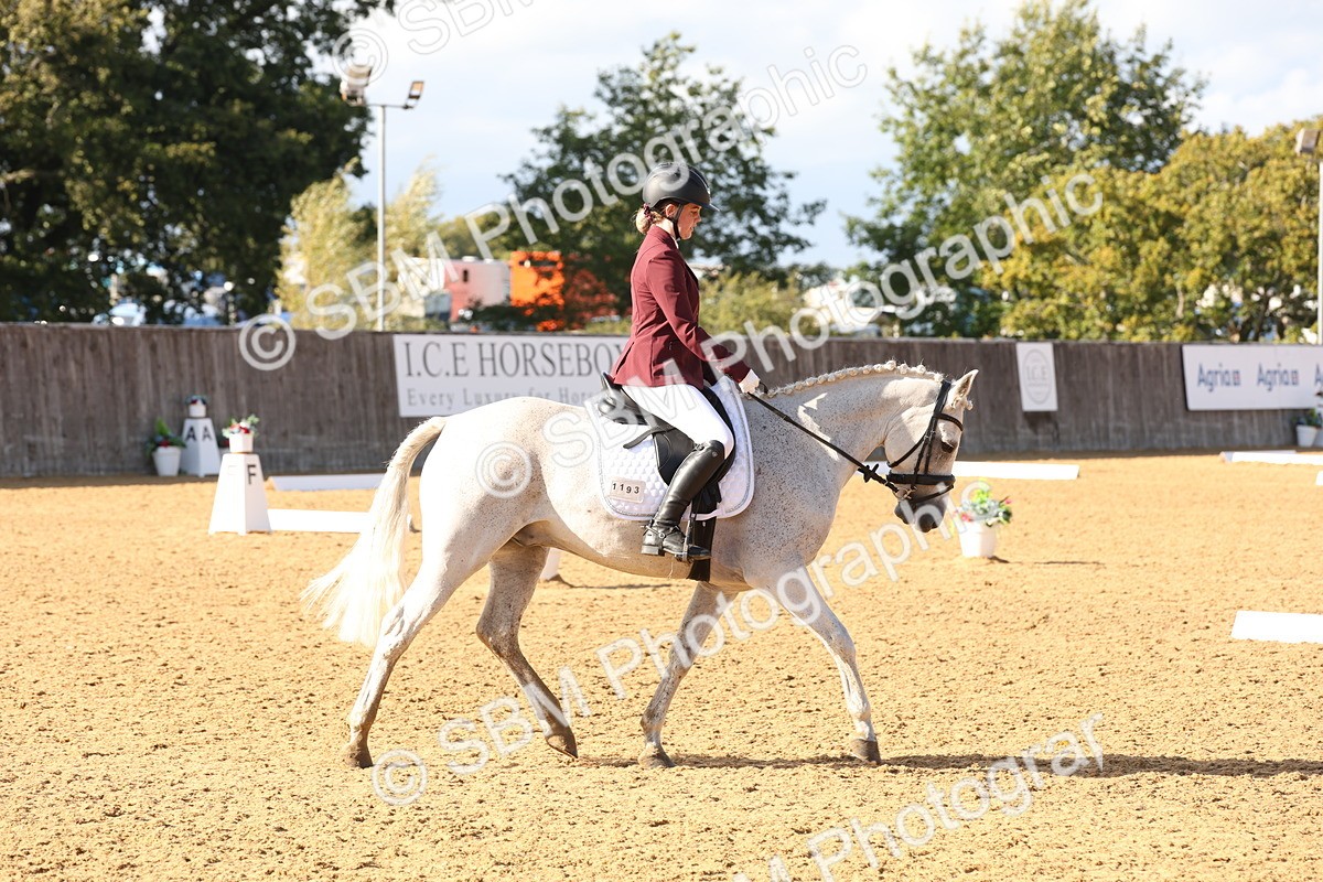 SBM_50464 - D12 - Small Tour Championship prelim 2
