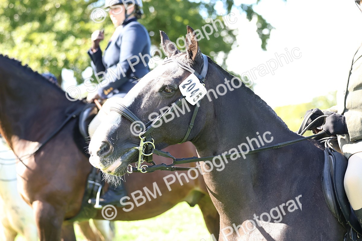 SBM_36926 - S11 - Best Ridden Horse & Pony