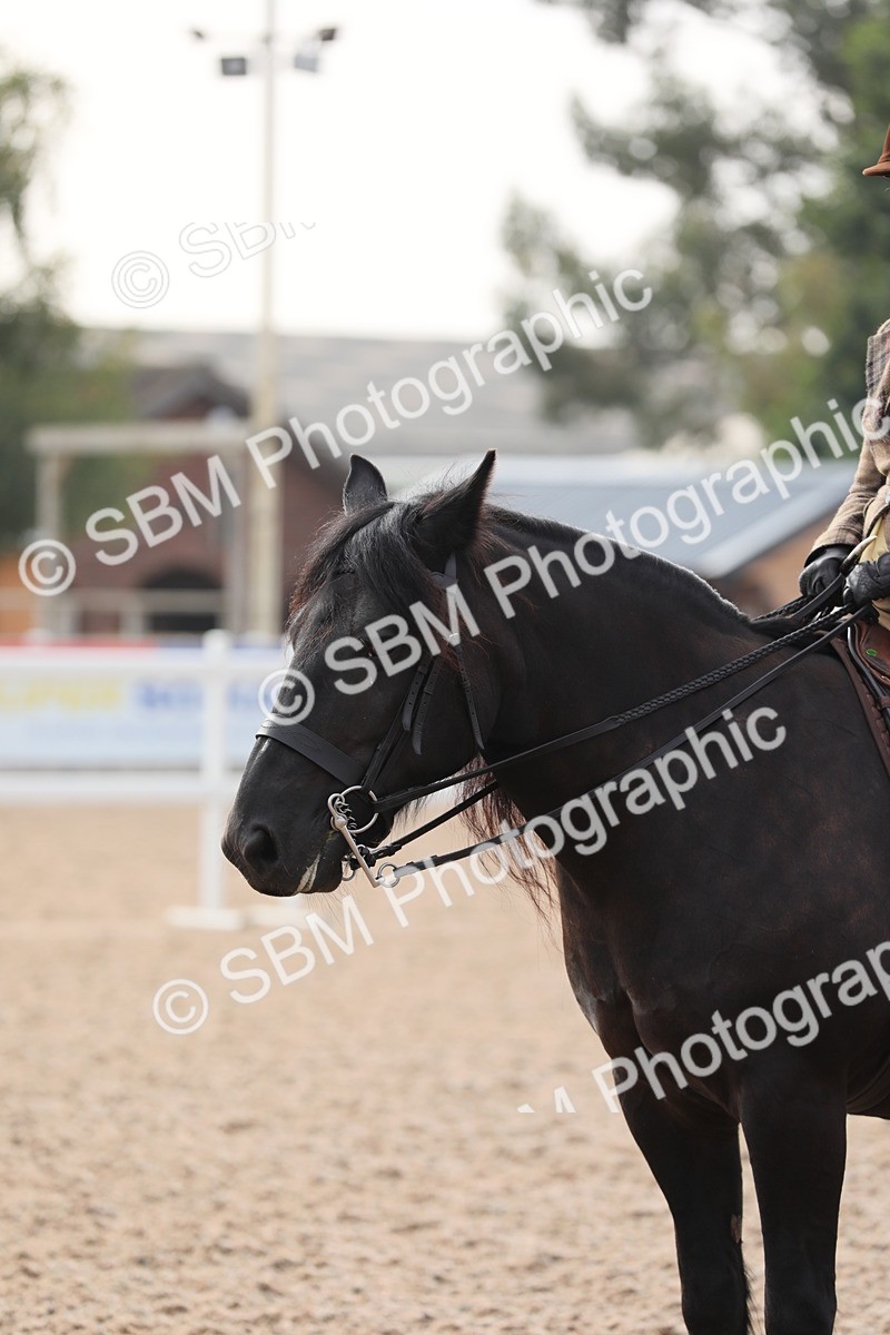 SBM_10048 - Class 302 Ridden M&M -Large Breeds