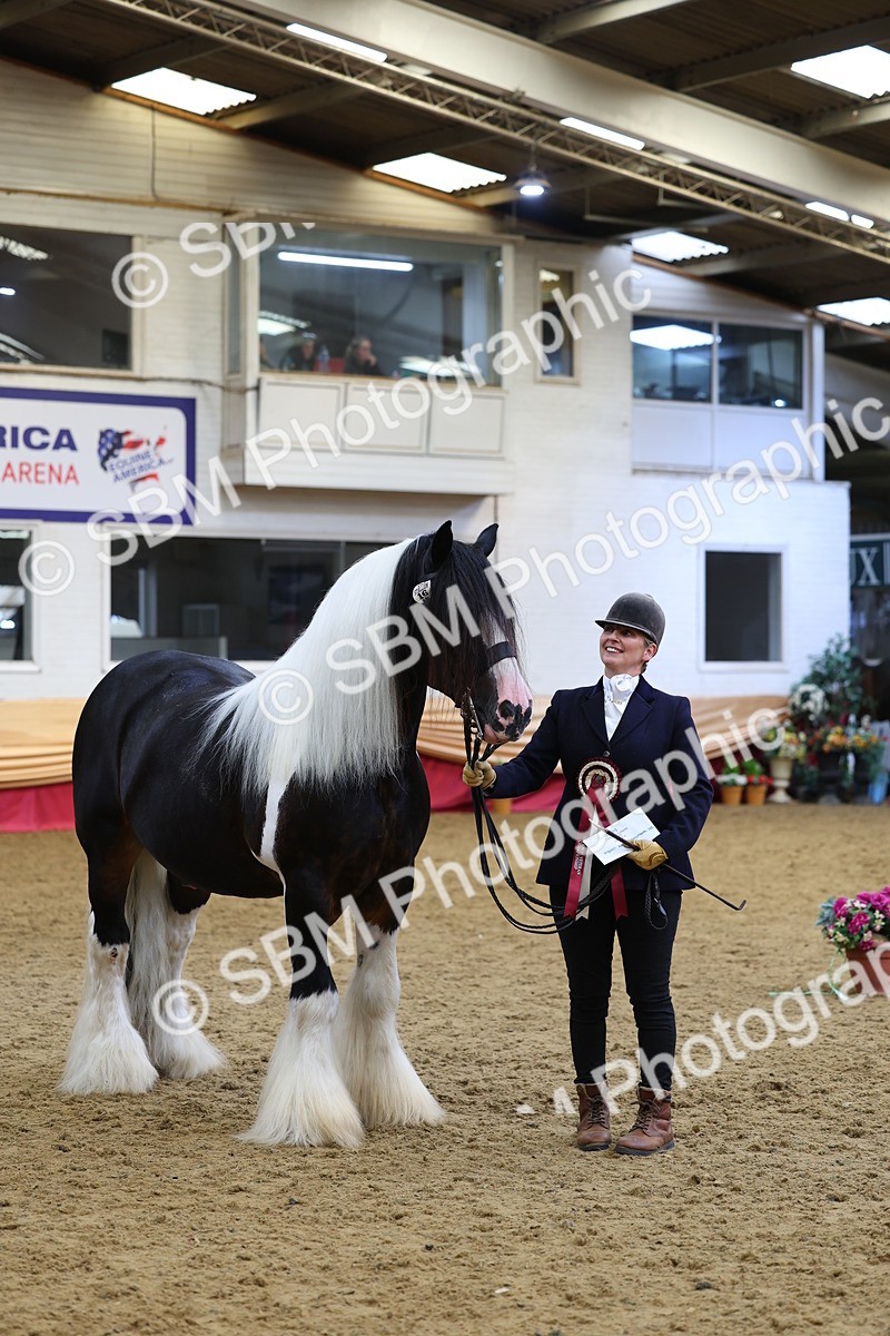 SBM_23022 - Class 903 - Supreme Final - IH Pre Vet