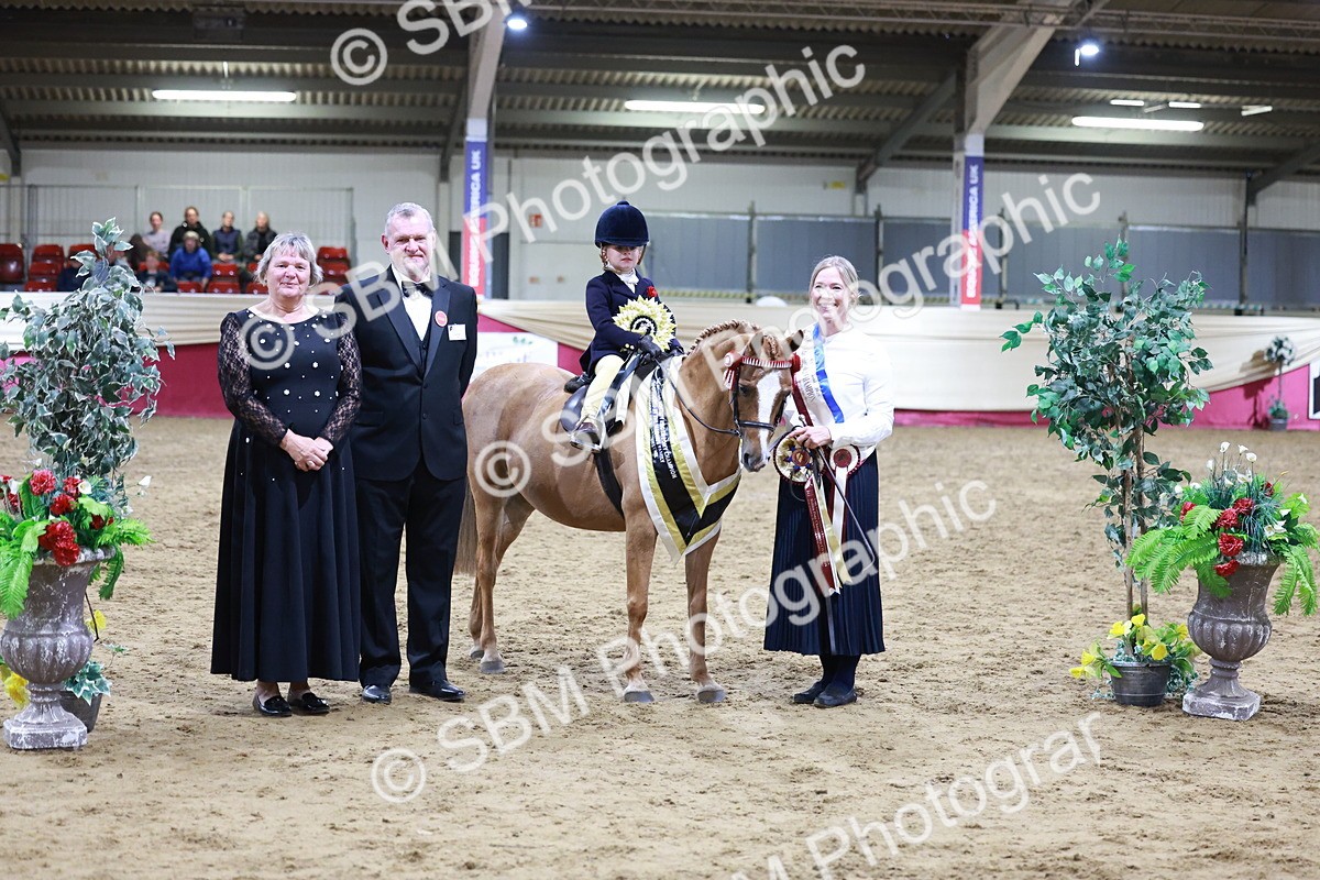 SBM_20594 - Class H - IH Competition - Riding Club champ