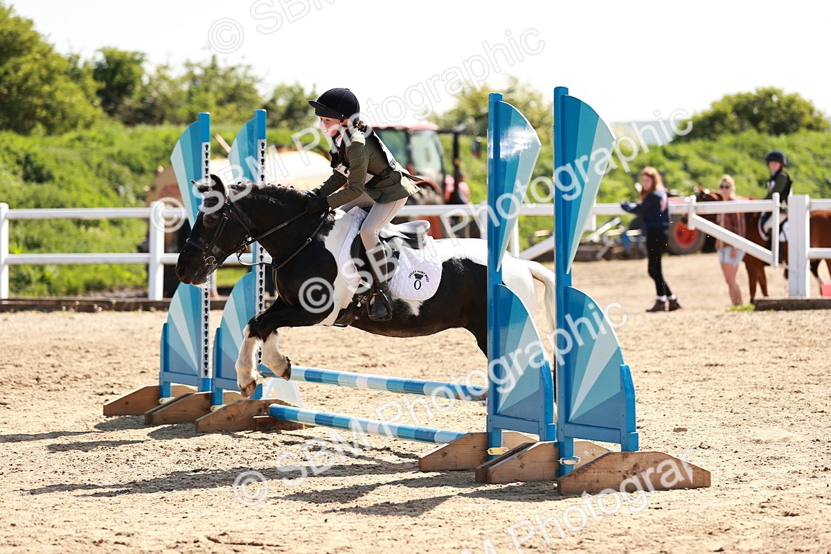 SBM_006921 - Class 2 - 50cm