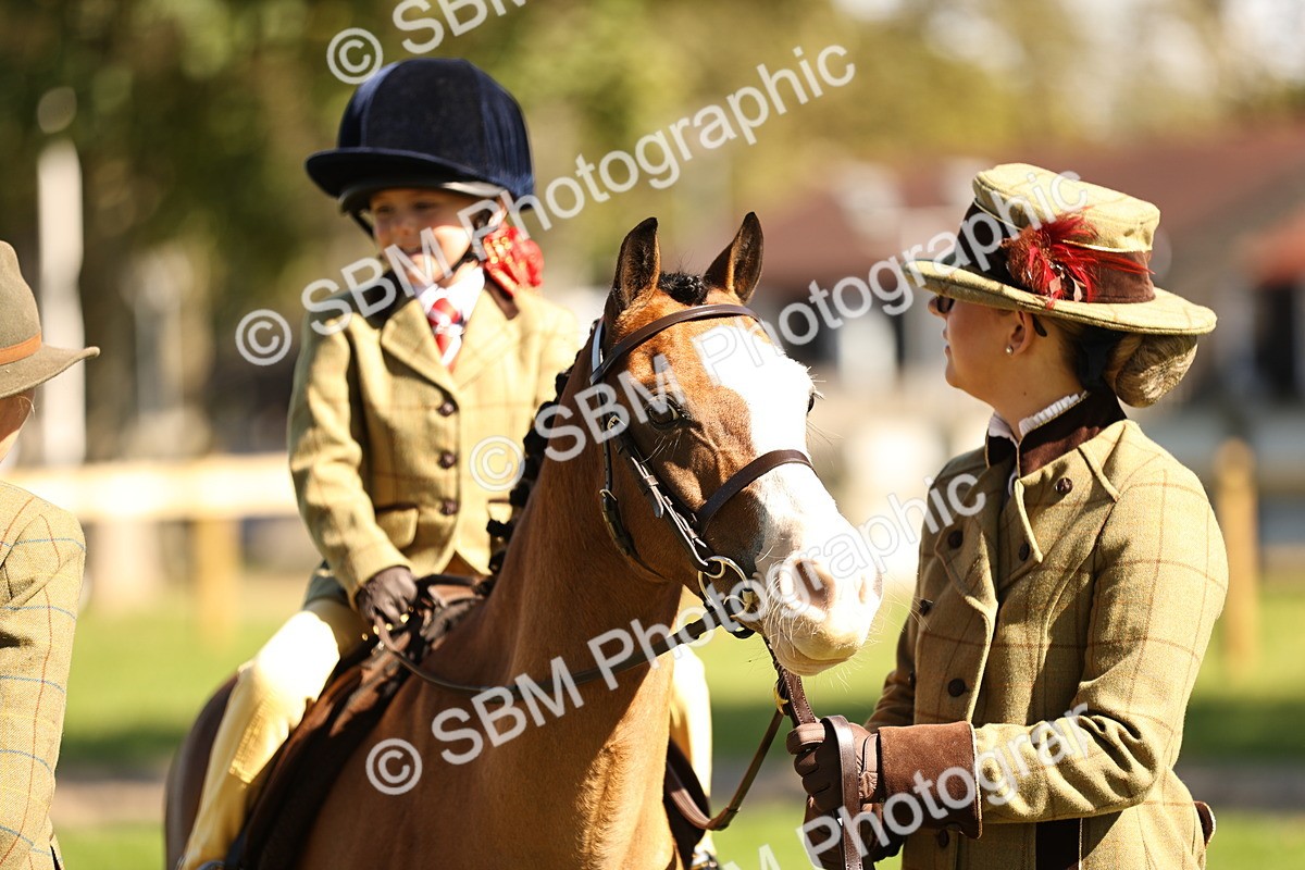 SBM_19285 - S3 - TSR Ridden Pony Showing