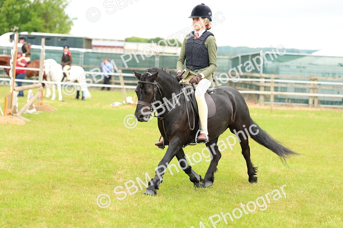 SBM_10326 - Class 44-45 - LIHS BSPS Open Nursery and Cradle Stakes