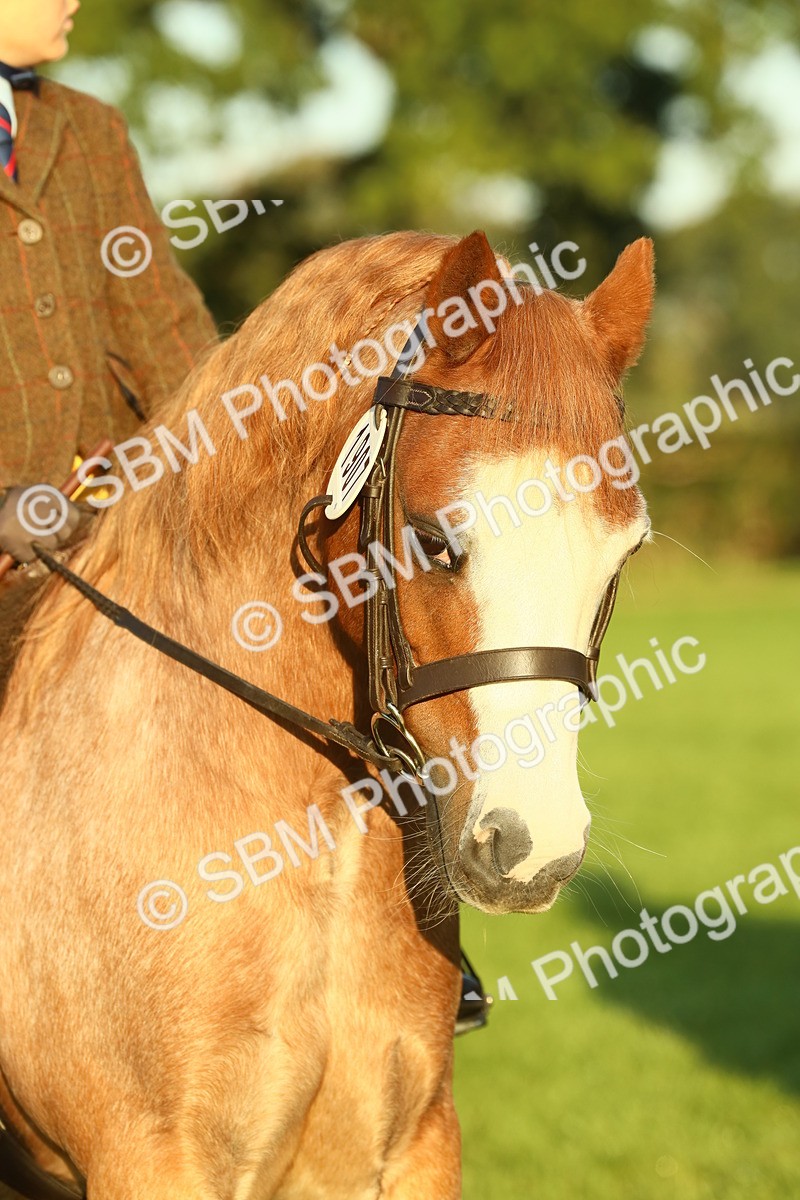 SBM_56578 - S36 - Starters Best Turnout