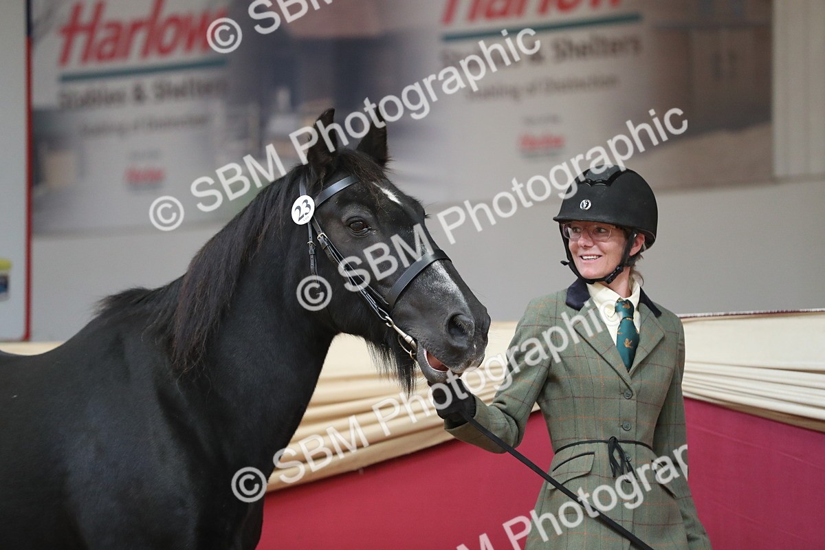 SBM_04908 - Class 8R- Regional -IH Veteran