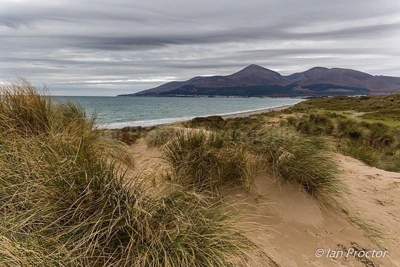 Sand Dunes of Murlough, County Down - County Down