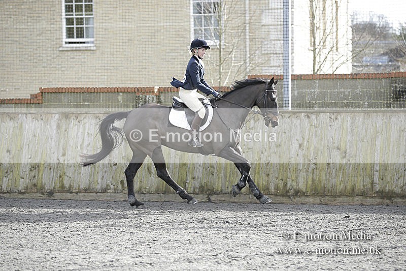 BVRC 050320 0634 - Bourne Valley riding Club Show Jumping Tidworth 08/03/20