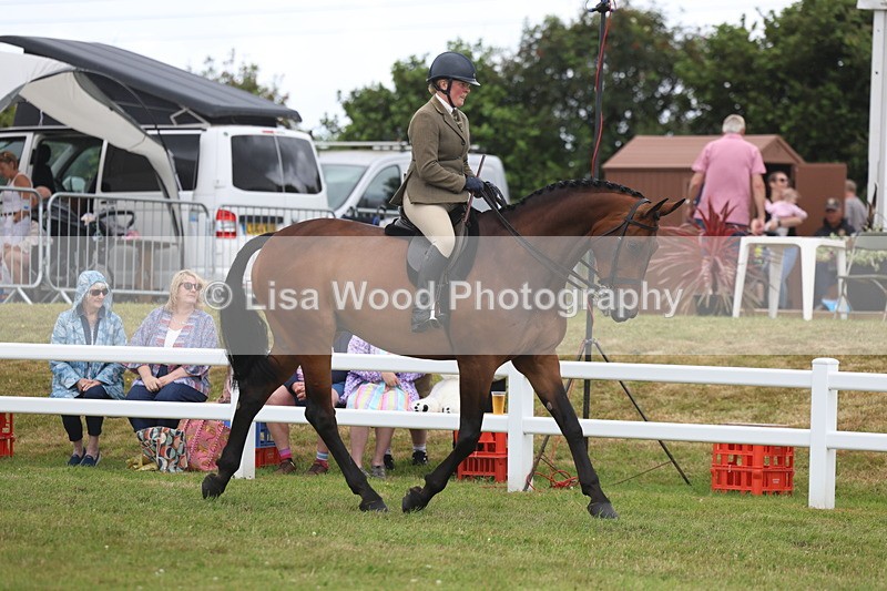 3E7A1370 - Class 9: Open Hunter