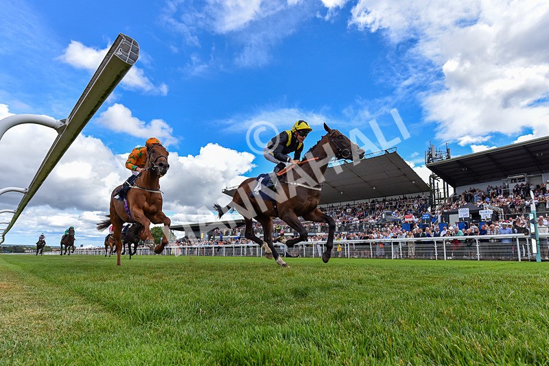 040726-Race 2-Rosberg-1894 - Race 2 14.52pm Matthew Ireland Memorial EBF Maiden Stakes
