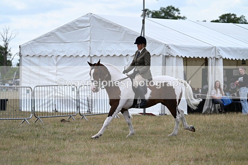 WJ7_5201 - Class 12 Ridden Cob
