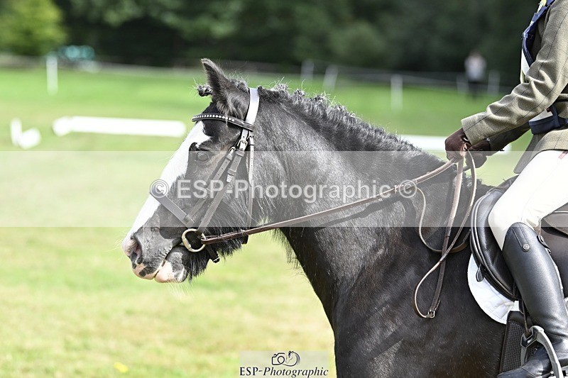 250821A-102316-14304 - DR 10.00 to 11.00