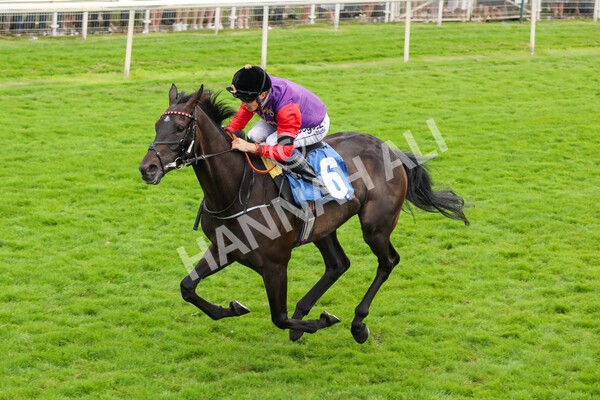 yr24072021r6-7 - Race 6 5.00pm Sky Bet Supporting New Beginnings