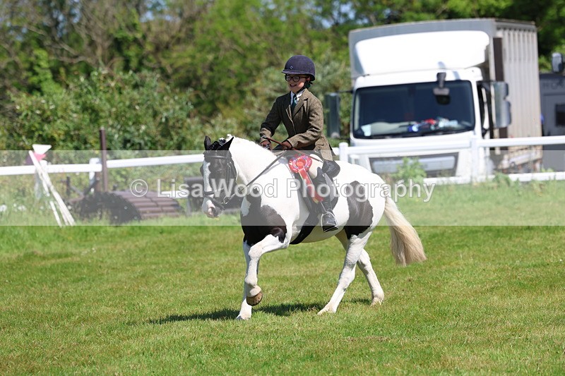 3E7A6764 - Working Hunter Pony Championship
