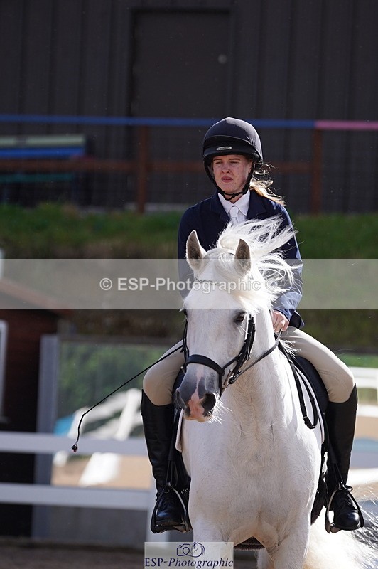 240809A-093112-00253 - Dressage Competition