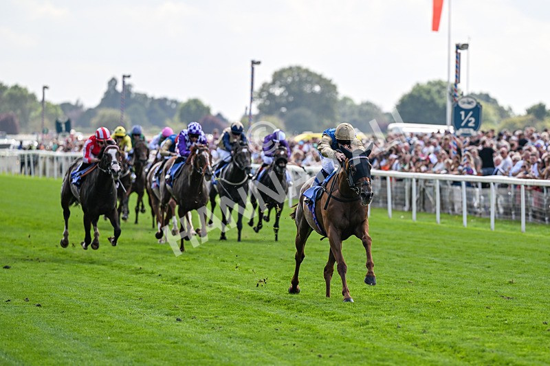 220826-Race 1-Archivist-9216 - Race 1 13.50pm Sky Bet Strensall Stakes