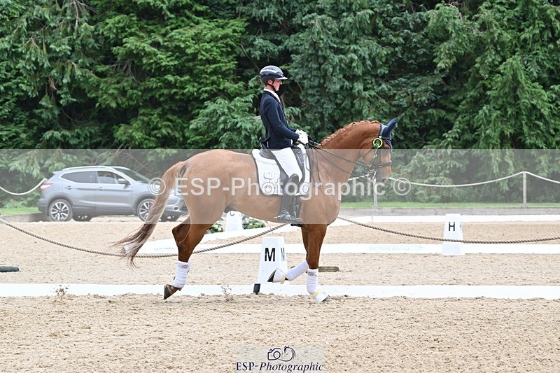 240811-132422-05950 - Medium Silver