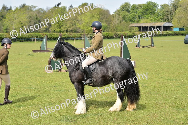 20260426-2281 - Class 20 - Beginner Working Hunter