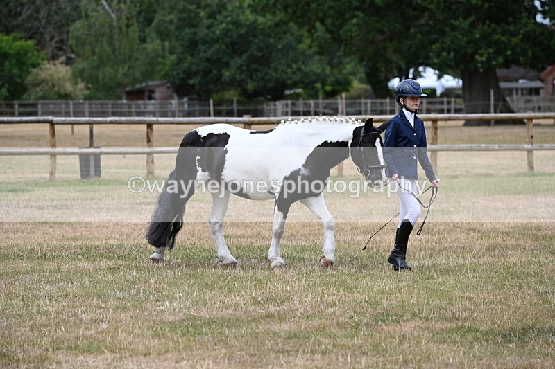 WJ6_4570 - Class 10 Coloured In-hand