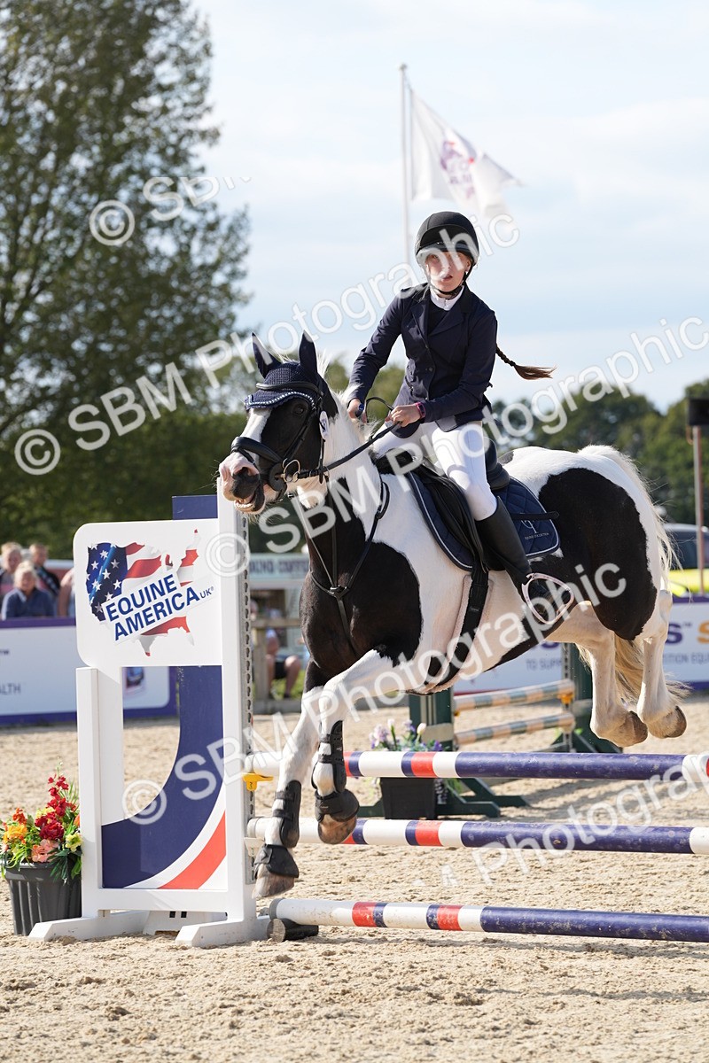 SBM_48759 - J22 - Junior Horse 65cm Championship