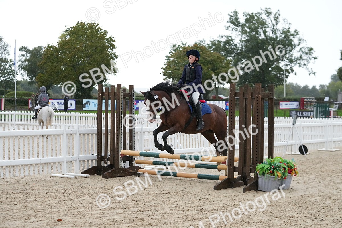 SBM_34032 - J5 - Junior Pony 50cm Championship