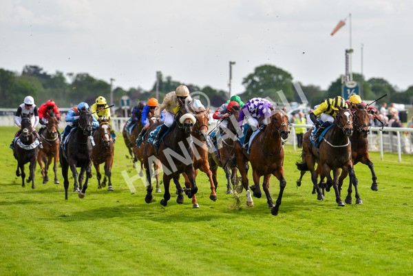 170523-Race 5-Dark Thirty-8873 - Race 5 4.10pm Conundrum HR Consulting Handicap