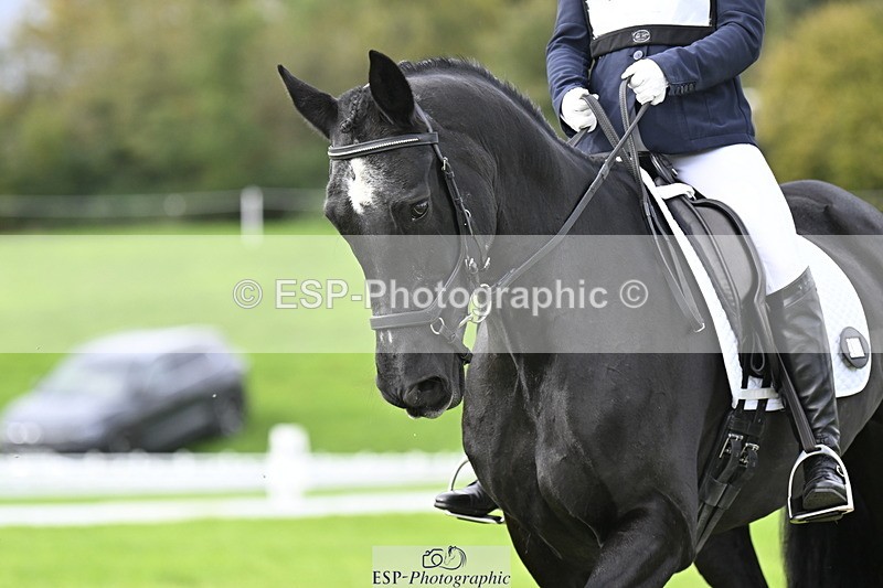 251023A-113551-03900 - F-413-Lucy.Jowett