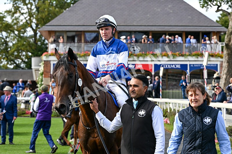 210826-Race 6-Benjamin Hornigold-7331 - Race 6 16.45pm British Stallion Studs EBF Convivial Maiden Stakes
