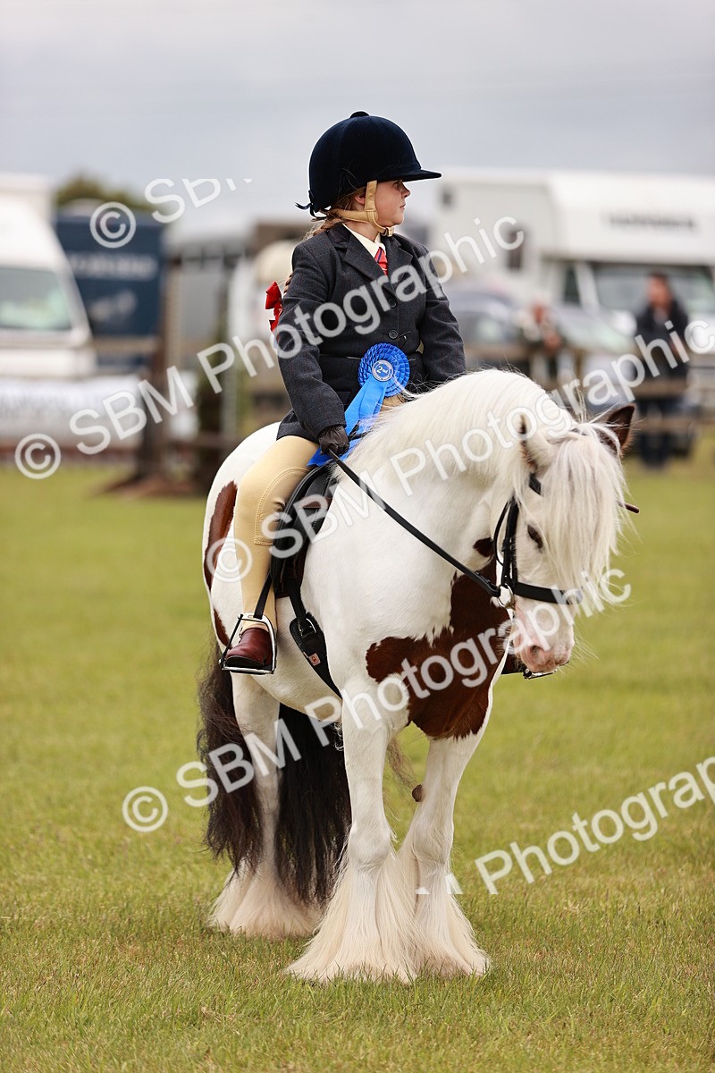 SBM_06244 - Class 39-41 TGCA In Hand and Ridden