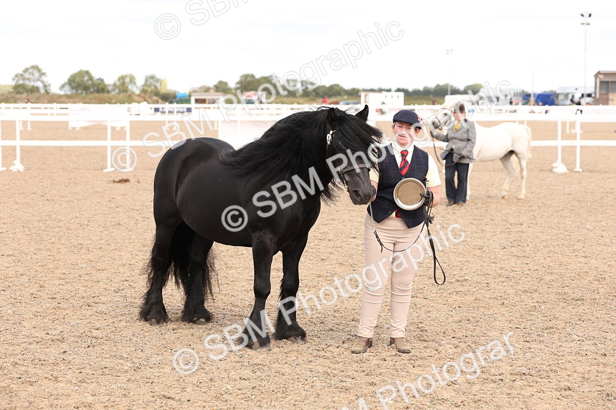 SBM_15141 - Class 209 - IH Veteran Pony