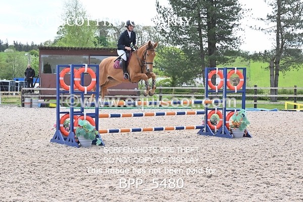 BPP_5480 - CLASS 4  BritishNovice/ 90cm Open