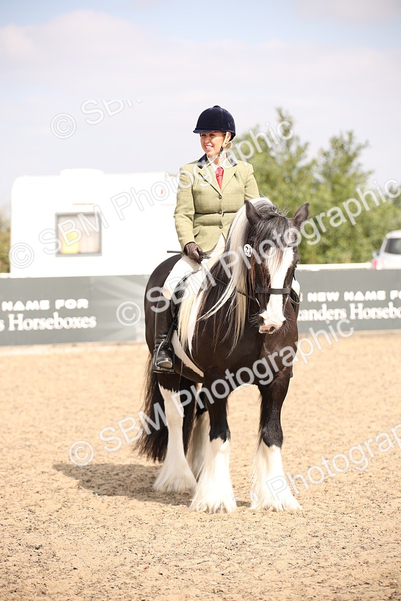 SBM_14367 - Class 407b - Working Veteran 60cm (20+)