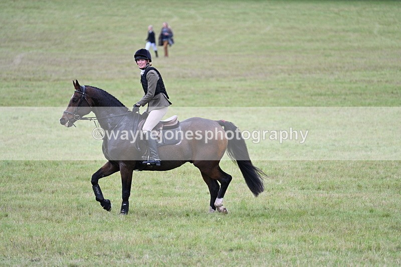 WJ7_4285 - Camera 1 Line 2