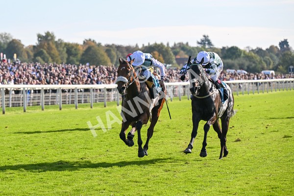 111025-Race 3-Laazm-8595 - Race 3 Coral 'Daily Reward Shaker' For Free Nursery Handicap at York