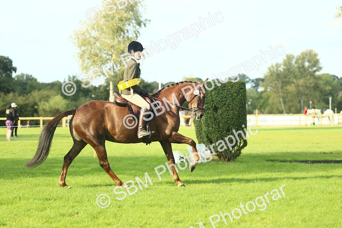 SBM_52268 - Working Hunter Supreme Championship